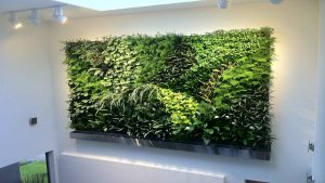 mur vegetal montpellier