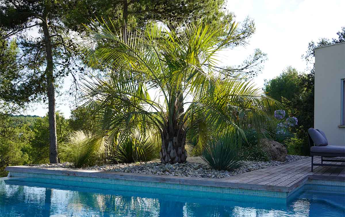 Paysagiste Montpellier Paysagiste Montpellier