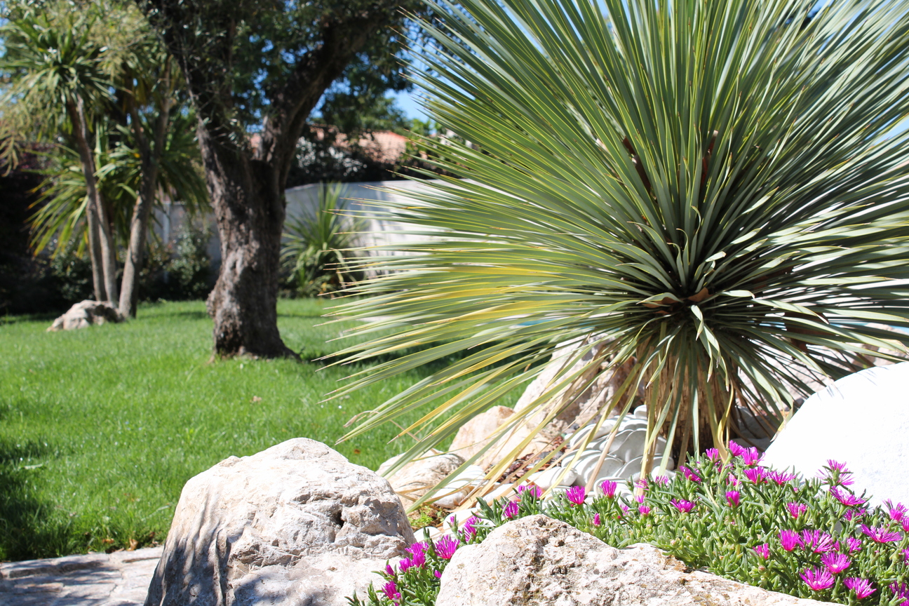 Jardin Montpellier